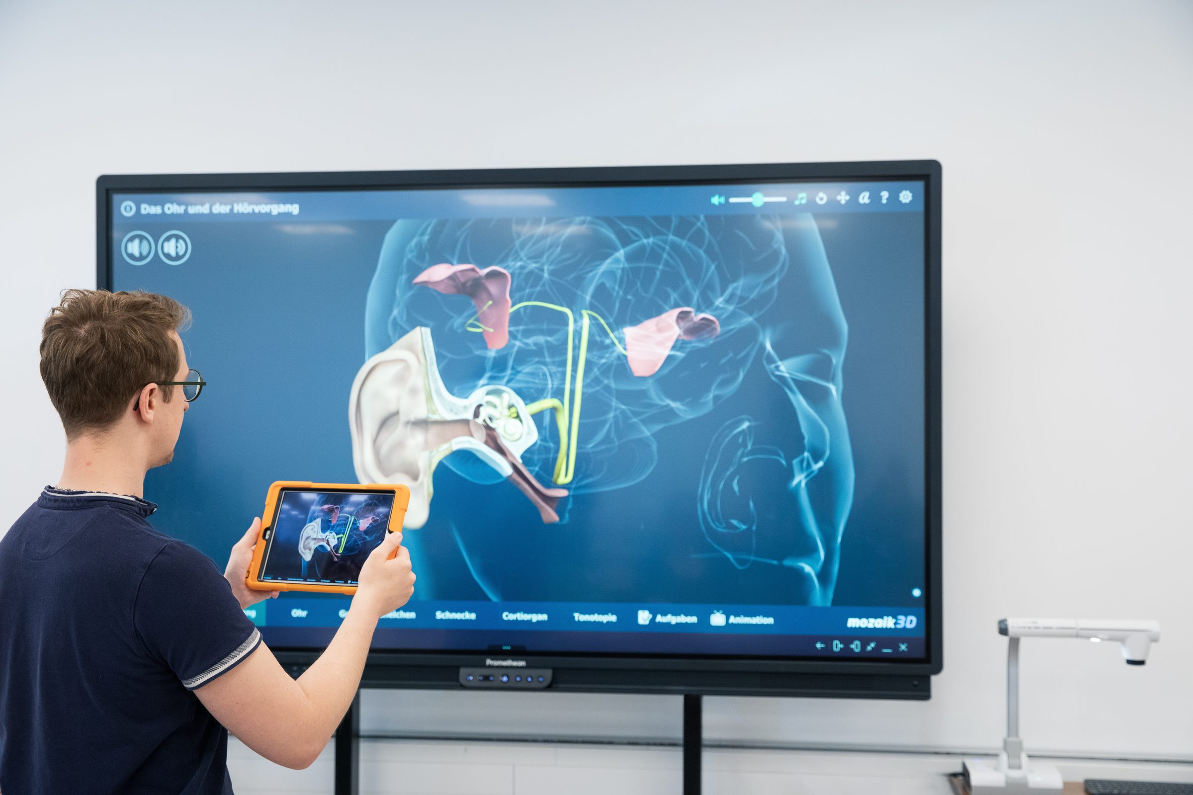 Junger Mann zeigt mit einem Tablet ein 3D-Modell des Ohrs auf einem großen Bildschirm, Unterricht bei BIHA Hörakustik