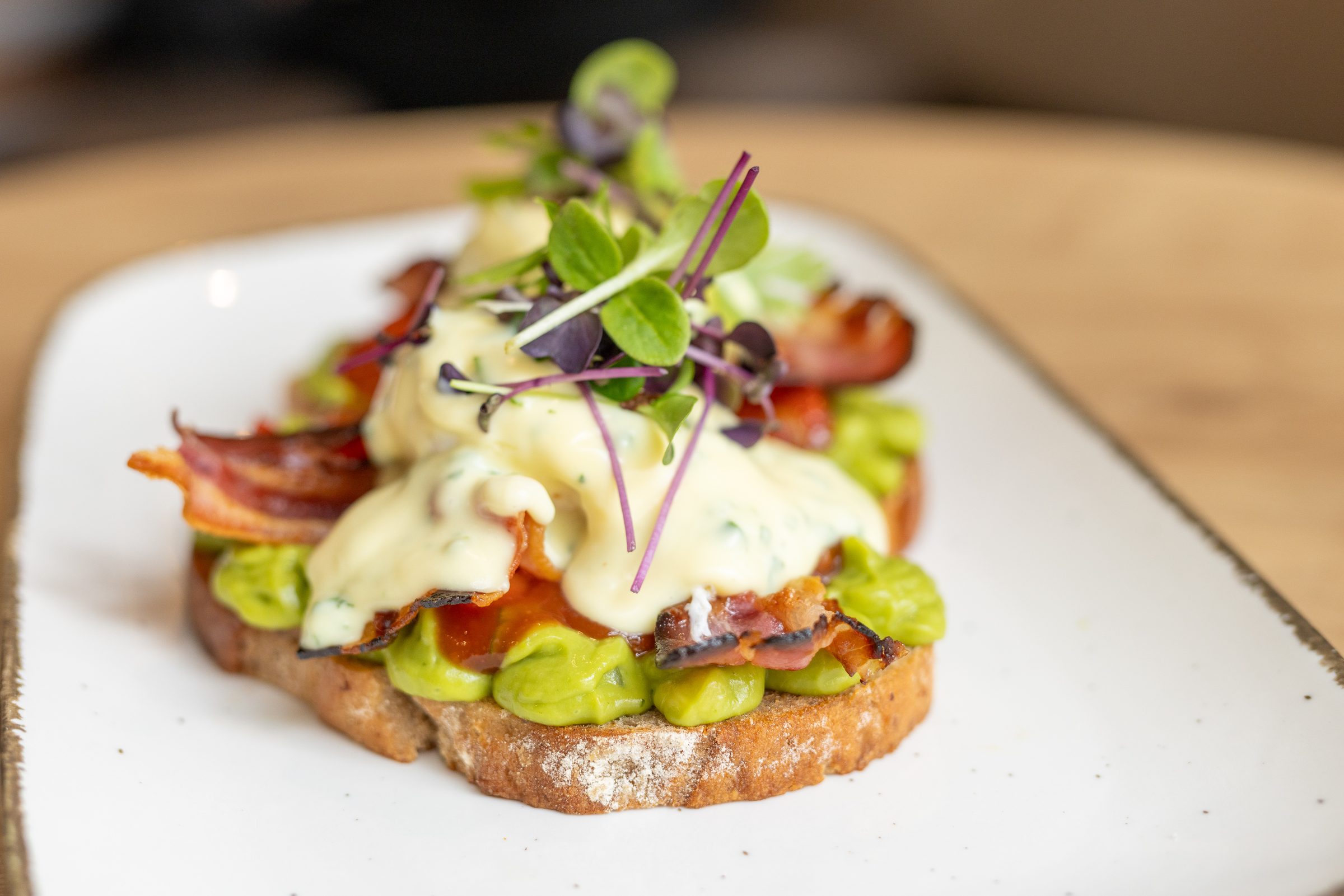 Belegtes Brot mit Avocado, Tomate, Bacon, heller Sauce und Sprossen auf einem hellen Teller im Ludwig in Mosbach