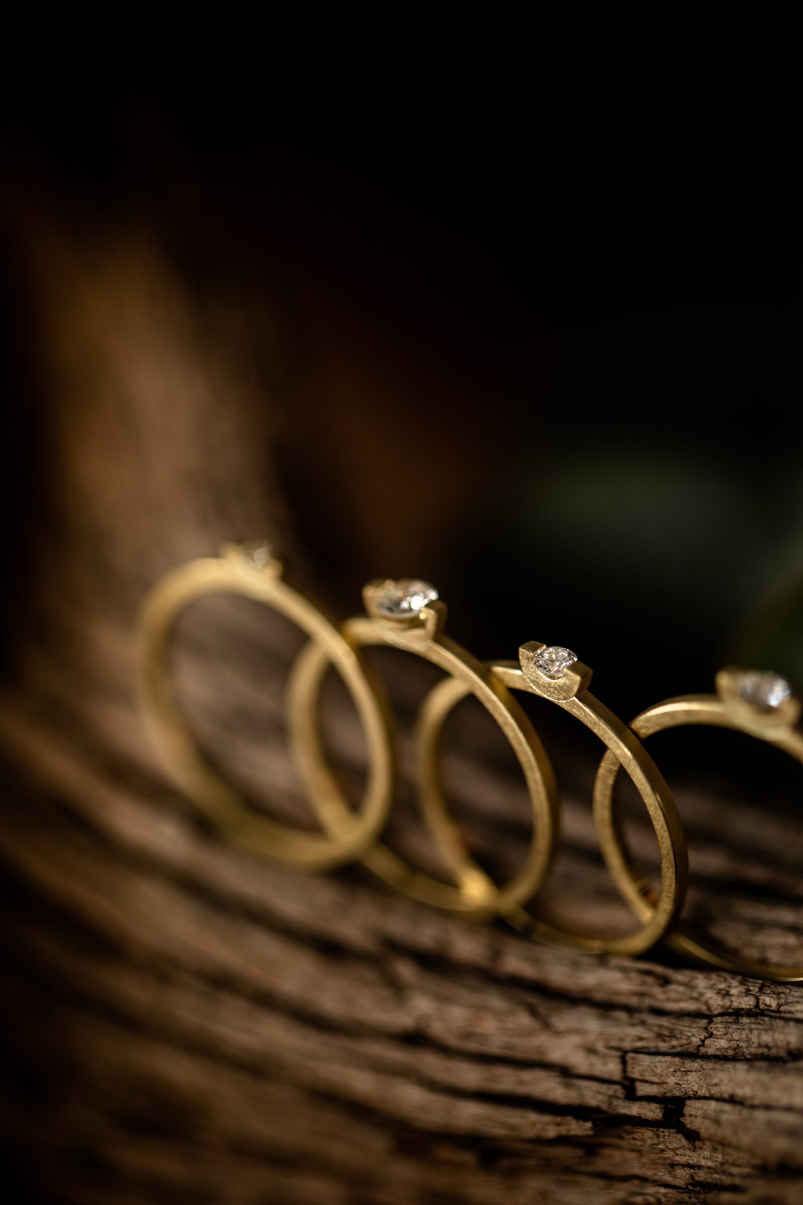 Vier schmale Goldringe mit je einem kleinen Diamanten in einer Reihe auf einem Stück Holz, Schmuck von Marion Knorr