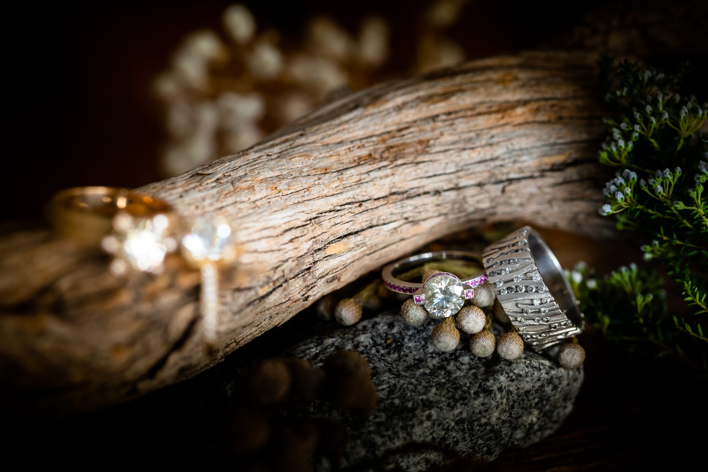 Mehrere Ringe mit Diamanten auf einem Stück Treibholz und einem Stein, daneben Zweige, vor dunklem Hintergrund