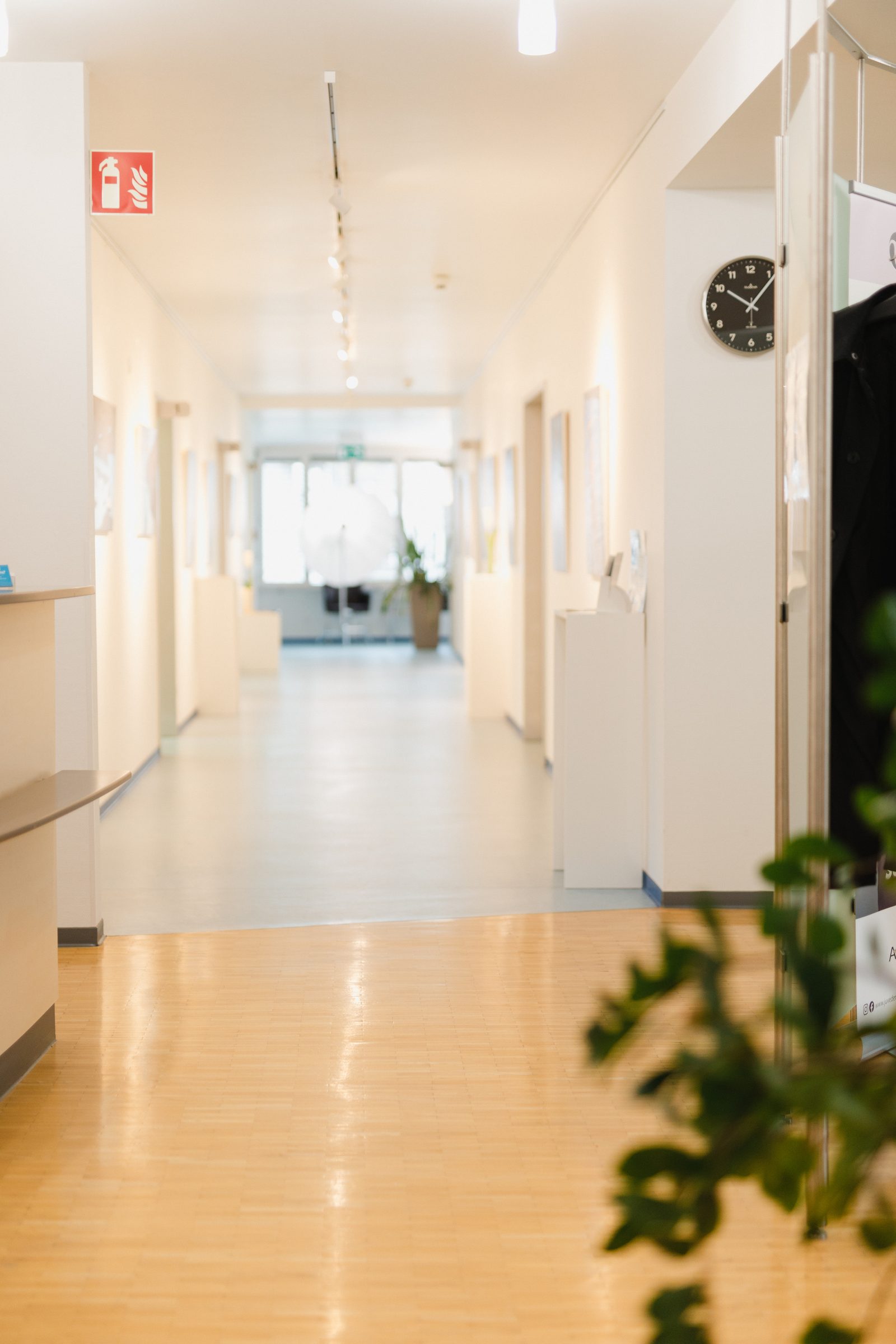 Heller Praxisflur mit Parkettboden und Bildern an den Wänden, vorne eine Grünpflanze