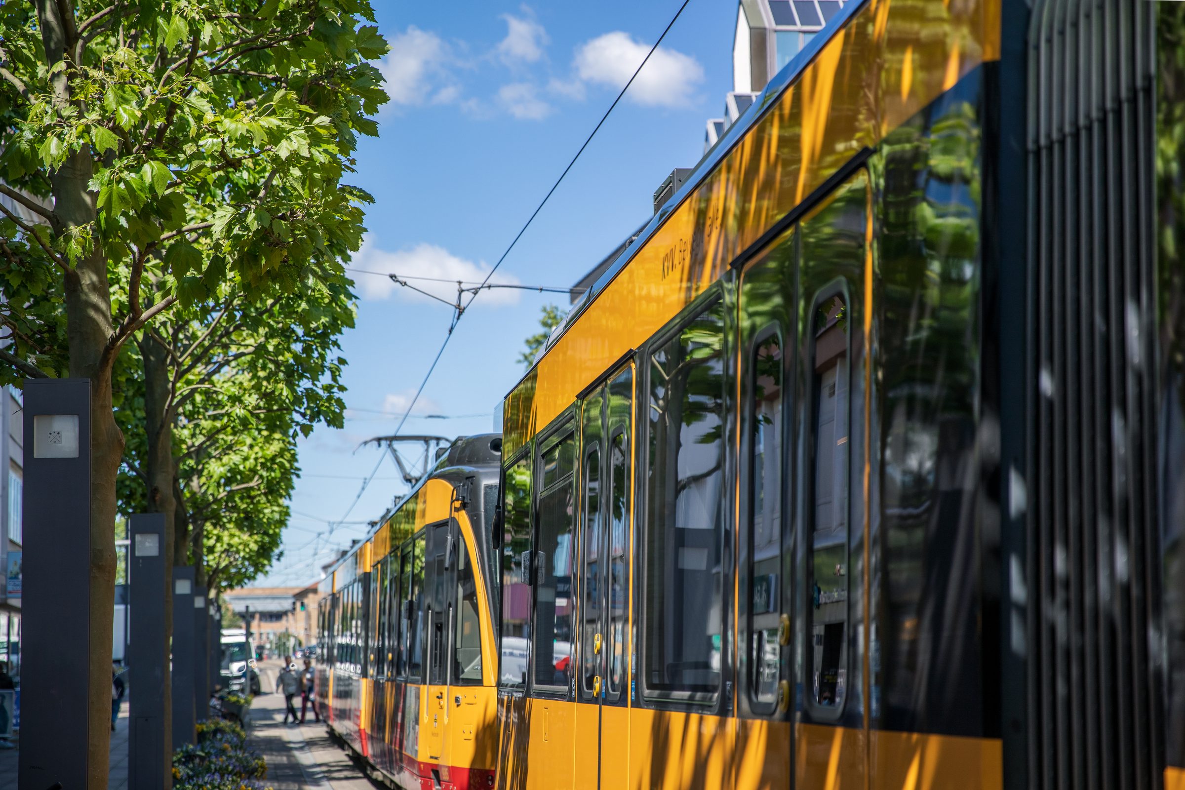 Gelbe Stadtbahn fährt an Bäumen und einem Zaun vorbei, im Hintergrund die Oberleitung vor blauem Himmel