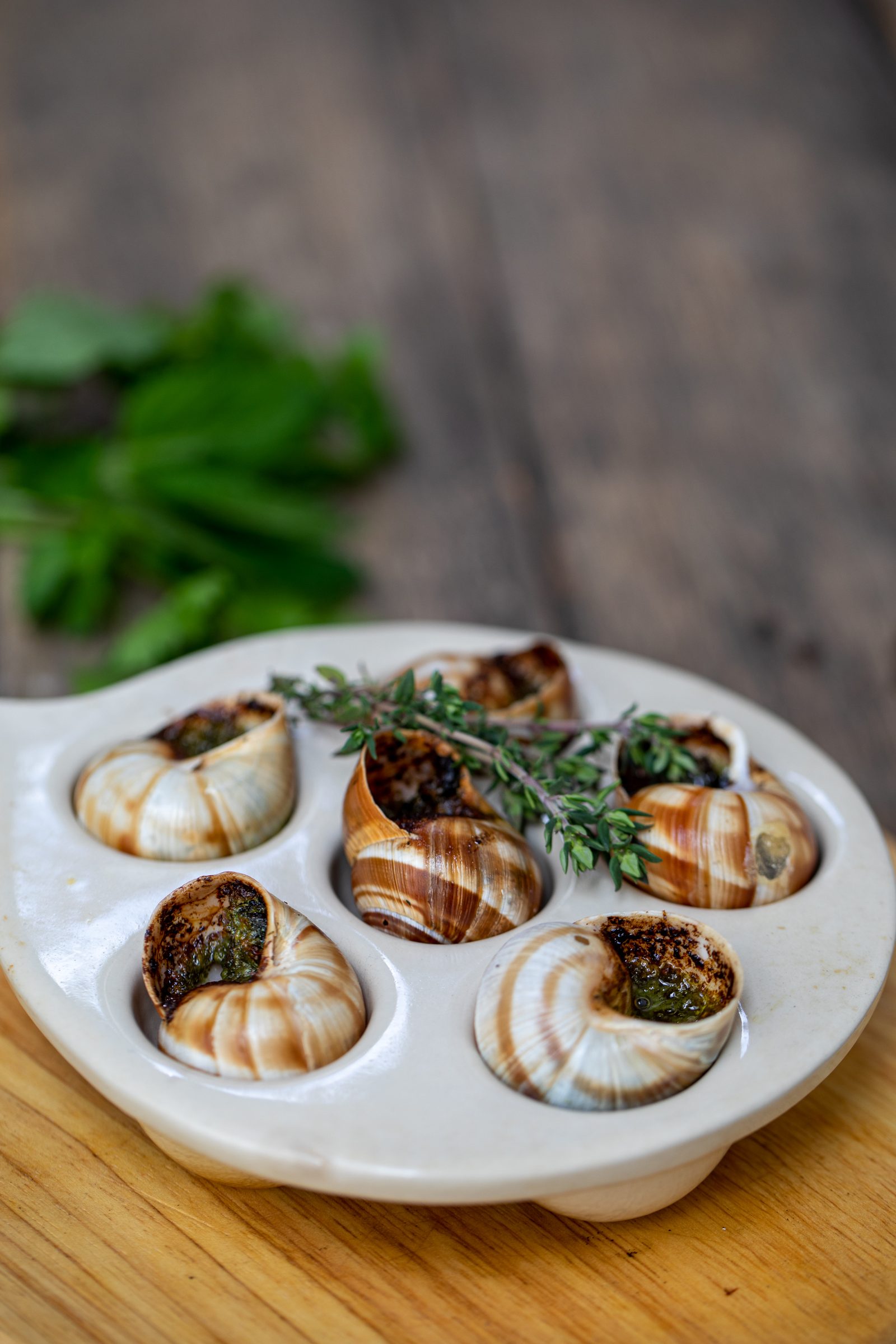 Weinbergschnecken mit Kräuterbutter in einer weißen Schneckenpfanne, dazu frische Kräuter auf einem Holztisch